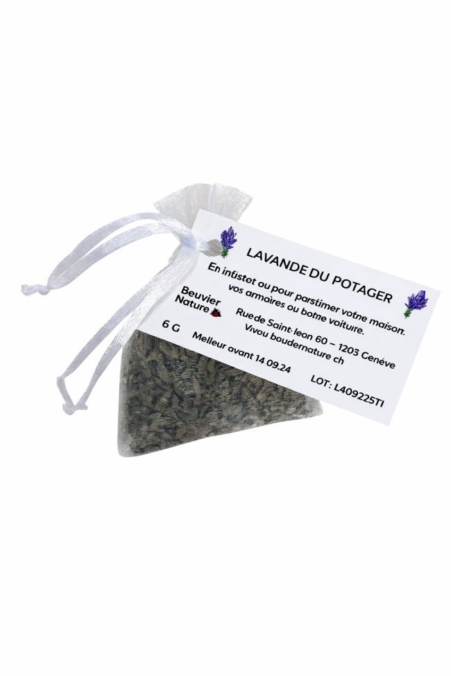 Lavande du potager - 6 g - 1 sachet